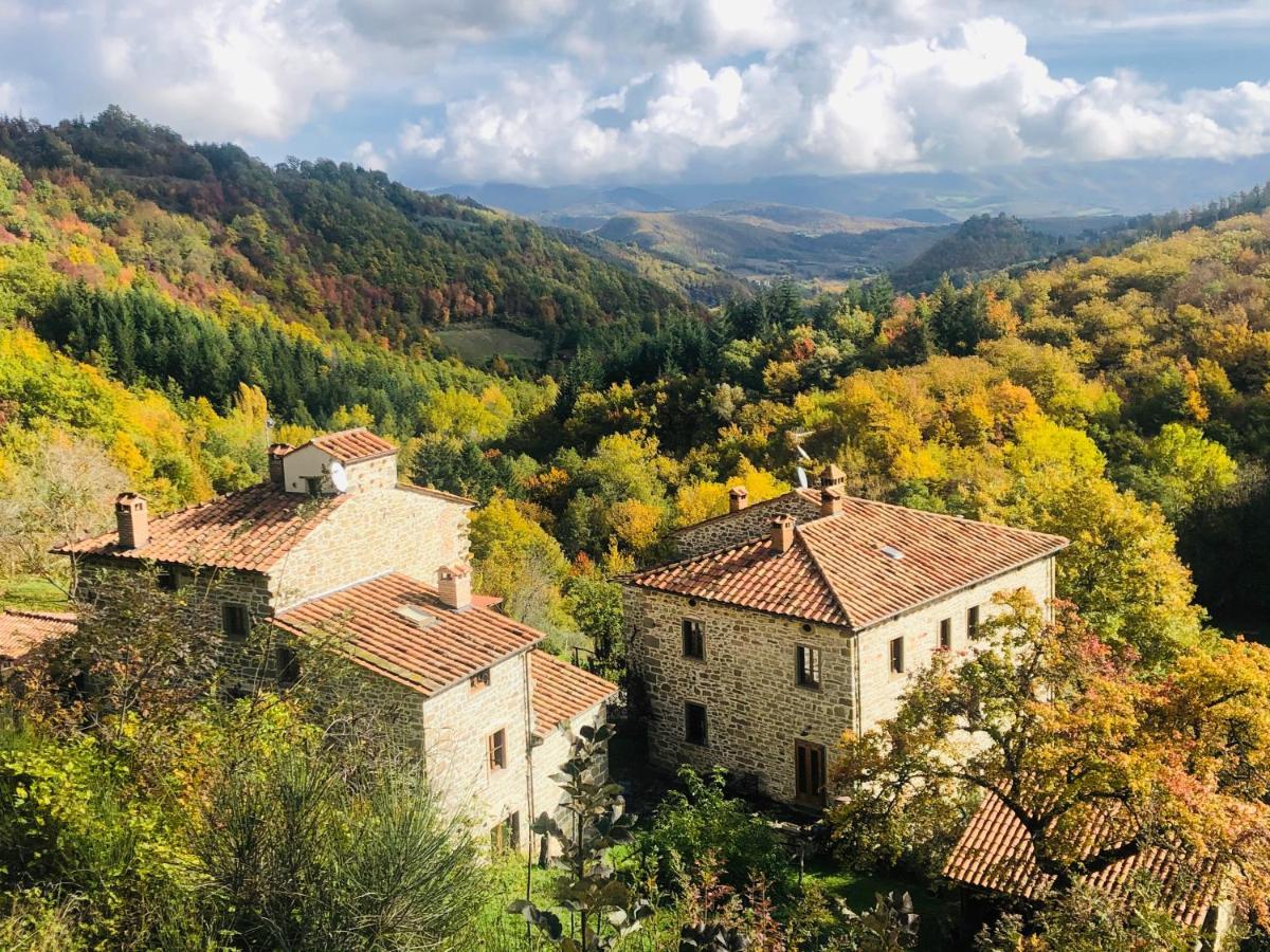 Caprese Michelangelo Bio Agriturismo Il Vigno المظهر الخارجي الصورة