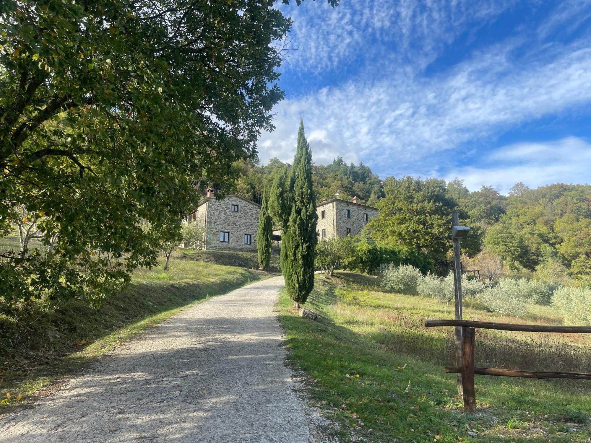 Caprese Michelangelo Bio Agriturismo Il Vigno المظهر الخارجي الصورة