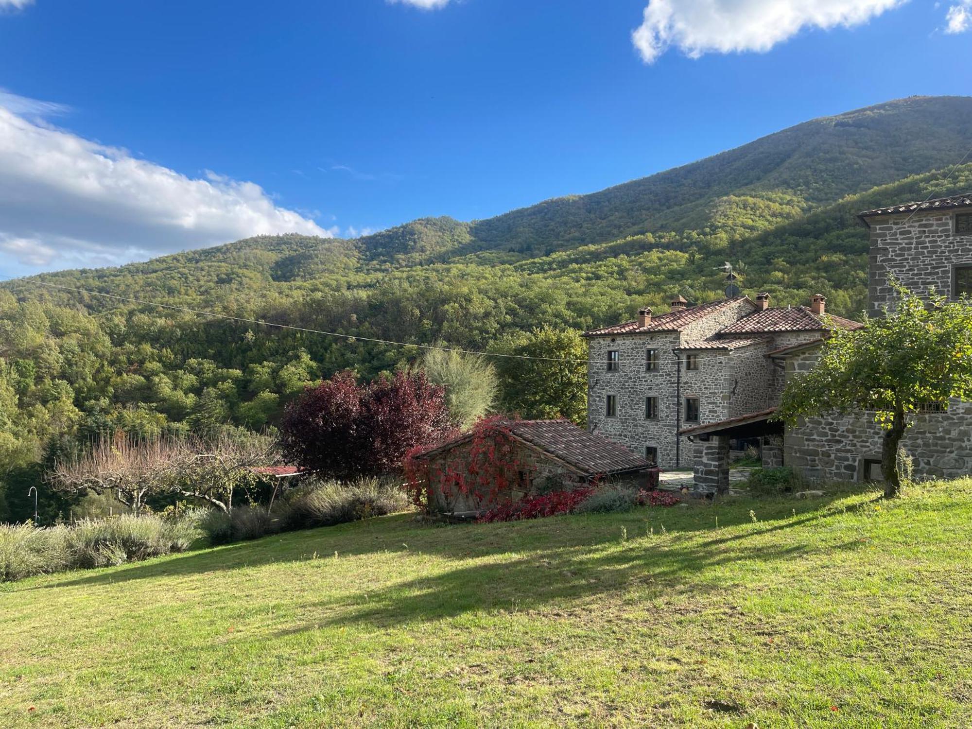 Caprese Michelangelo Bio Agriturismo Il Vigno المظهر الخارجي الصورة
