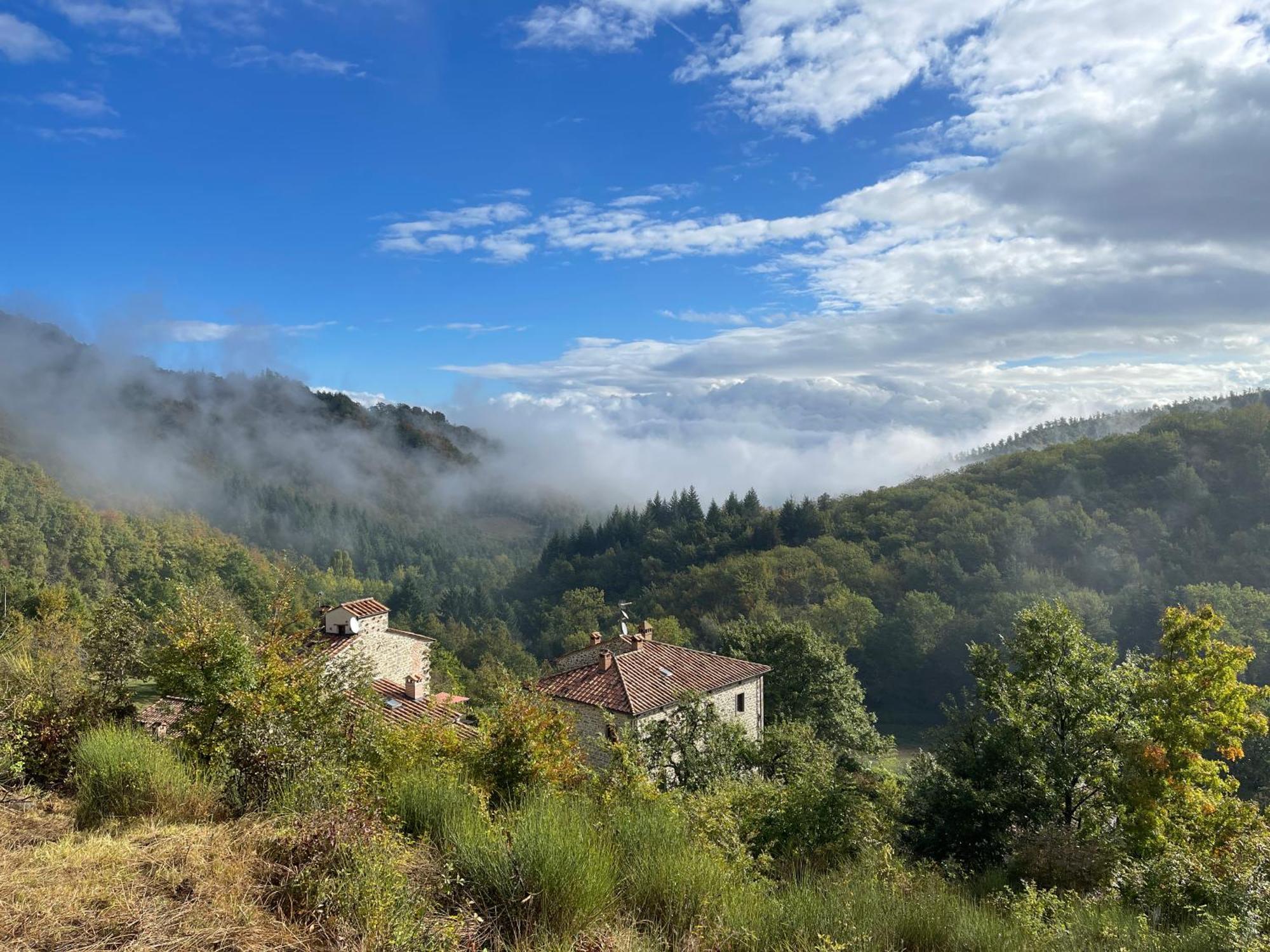 Caprese Michelangelo Bio Agriturismo Il Vigno المظهر الخارجي الصورة