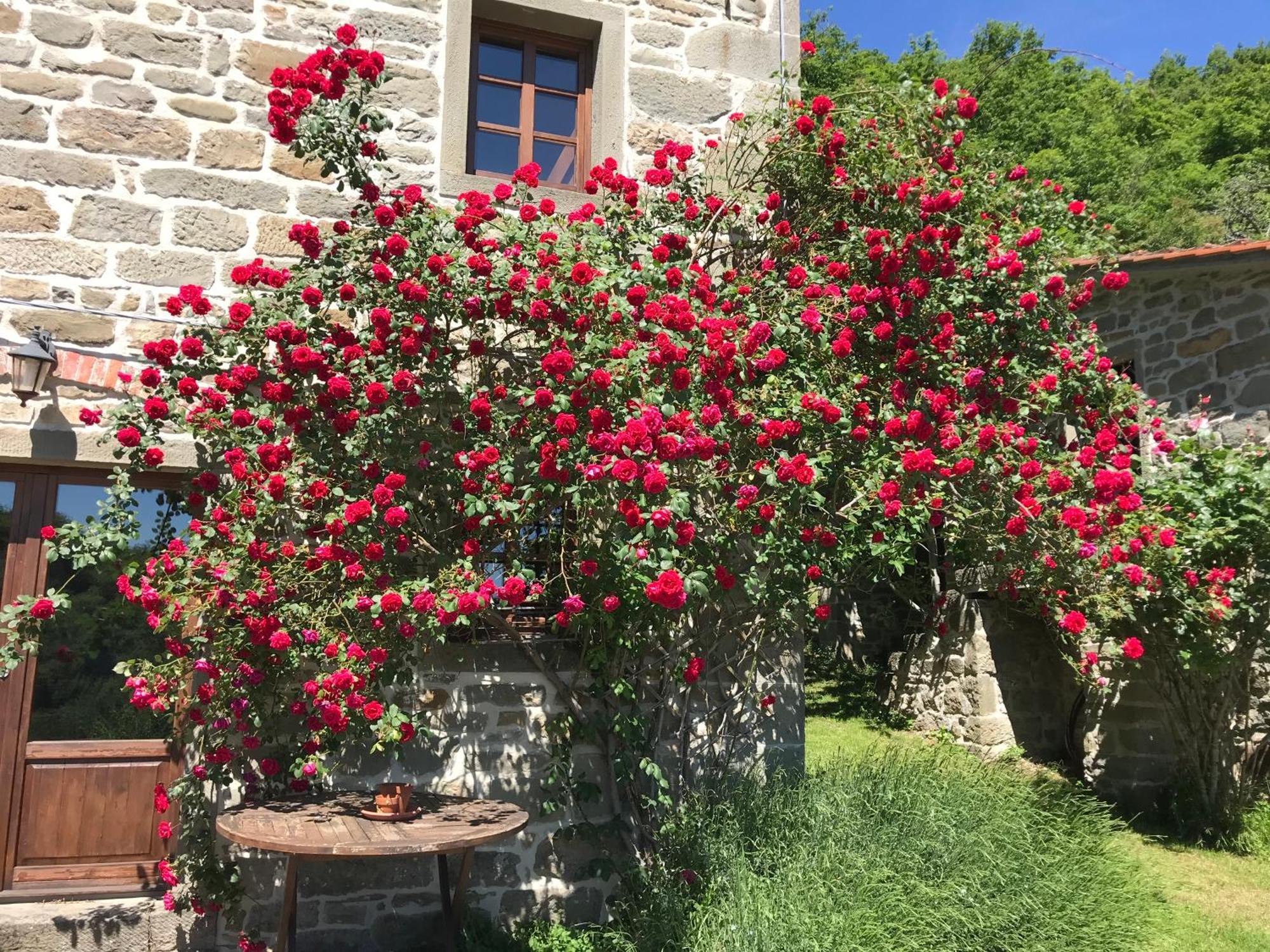 Caprese Michelangelo Bio Agriturismo Il Vigno المظهر الخارجي الصورة