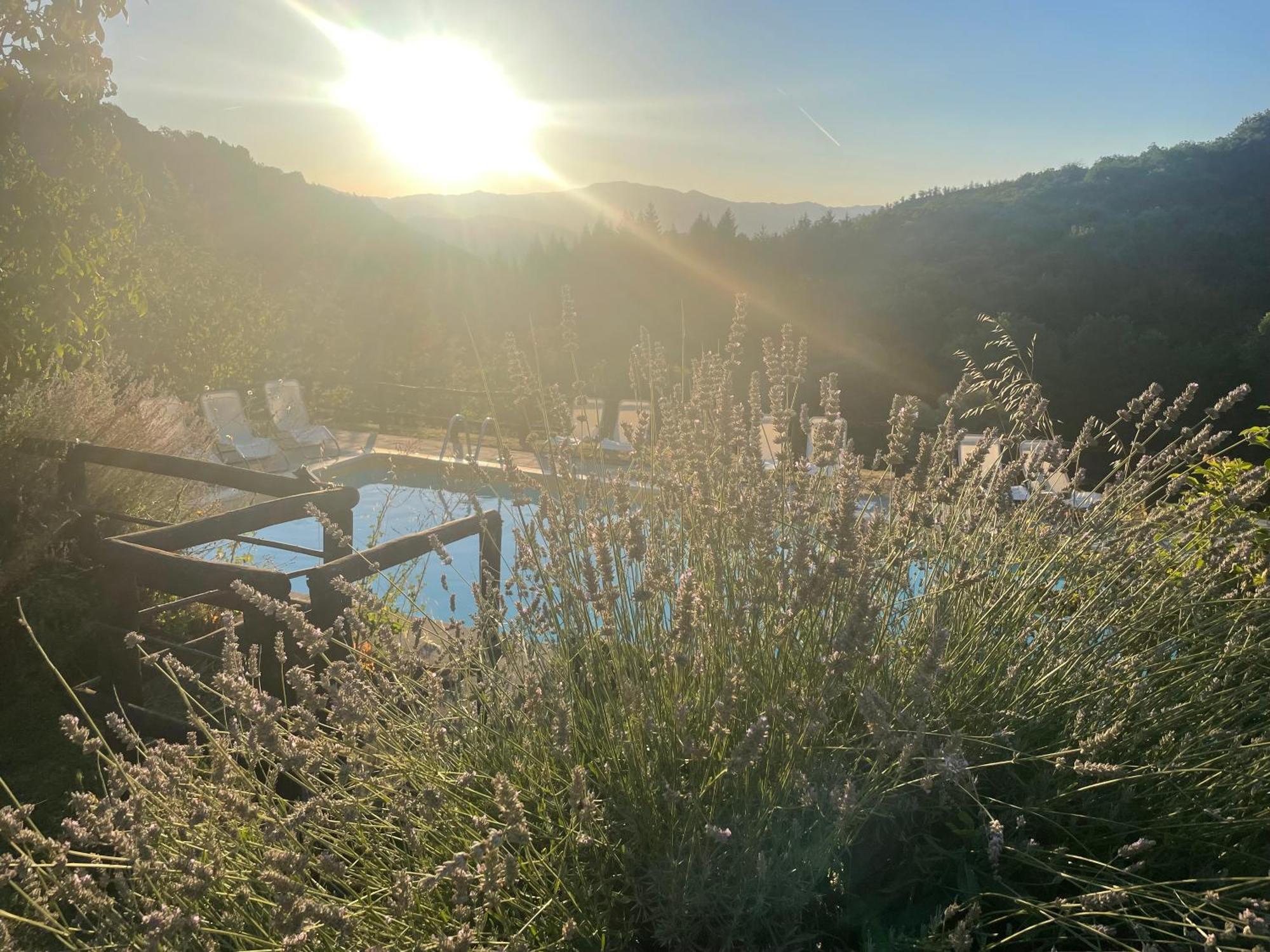 Caprese Michelangelo Bio Agriturismo Il Vigno المظهر الخارجي الصورة