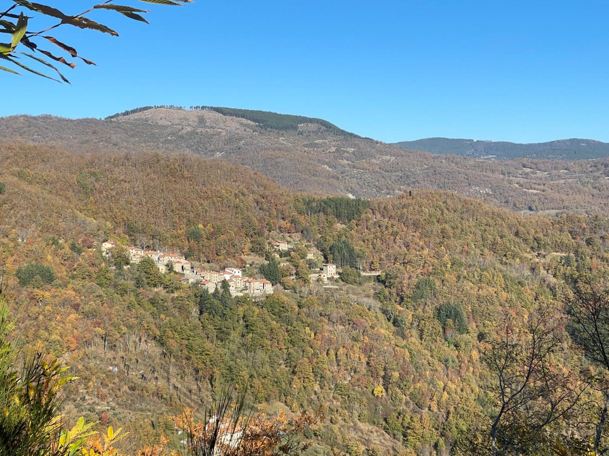 Caprese Michelangelo Bio Agriturismo Il Vigno المظهر الخارجي الصورة