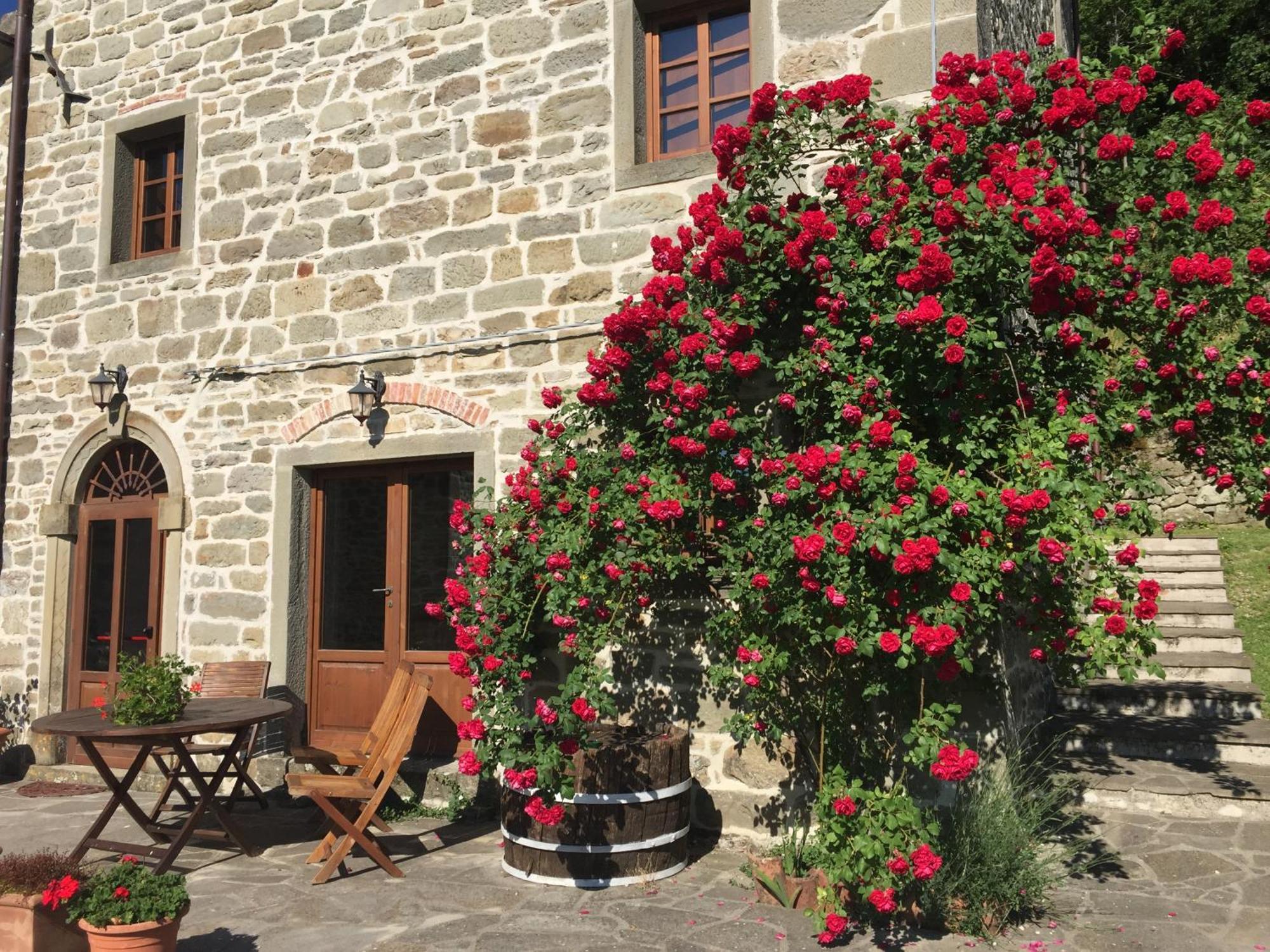 Caprese Michelangelo Bio Agriturismo Il Vigno المظهر الخارجي الصورة