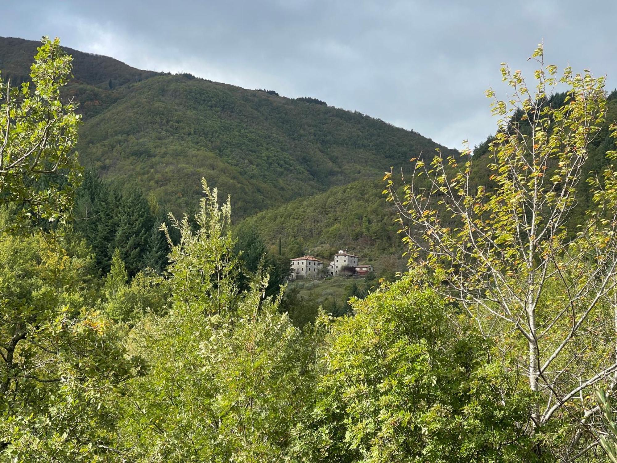 Caprese Michelangelo Bio Agriturismo Il Vigno المظهر الخارجي الصورة