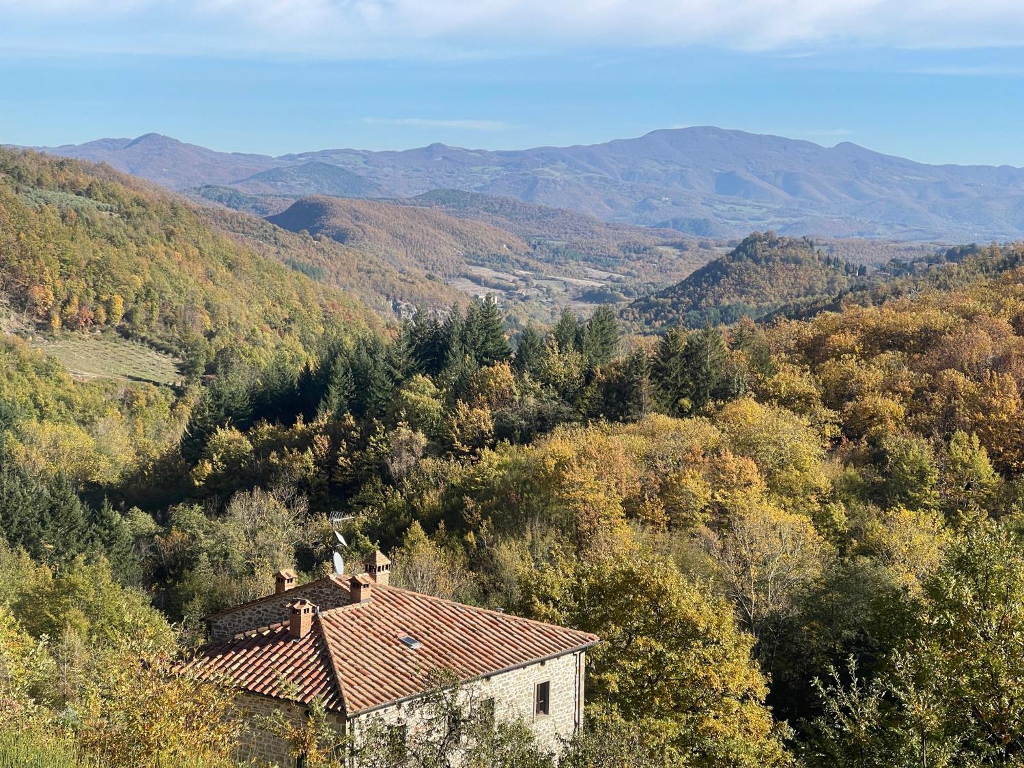 Caprese Michelangelo Bio Agriturismo Il Vigno المظهر الخارجي الصورة