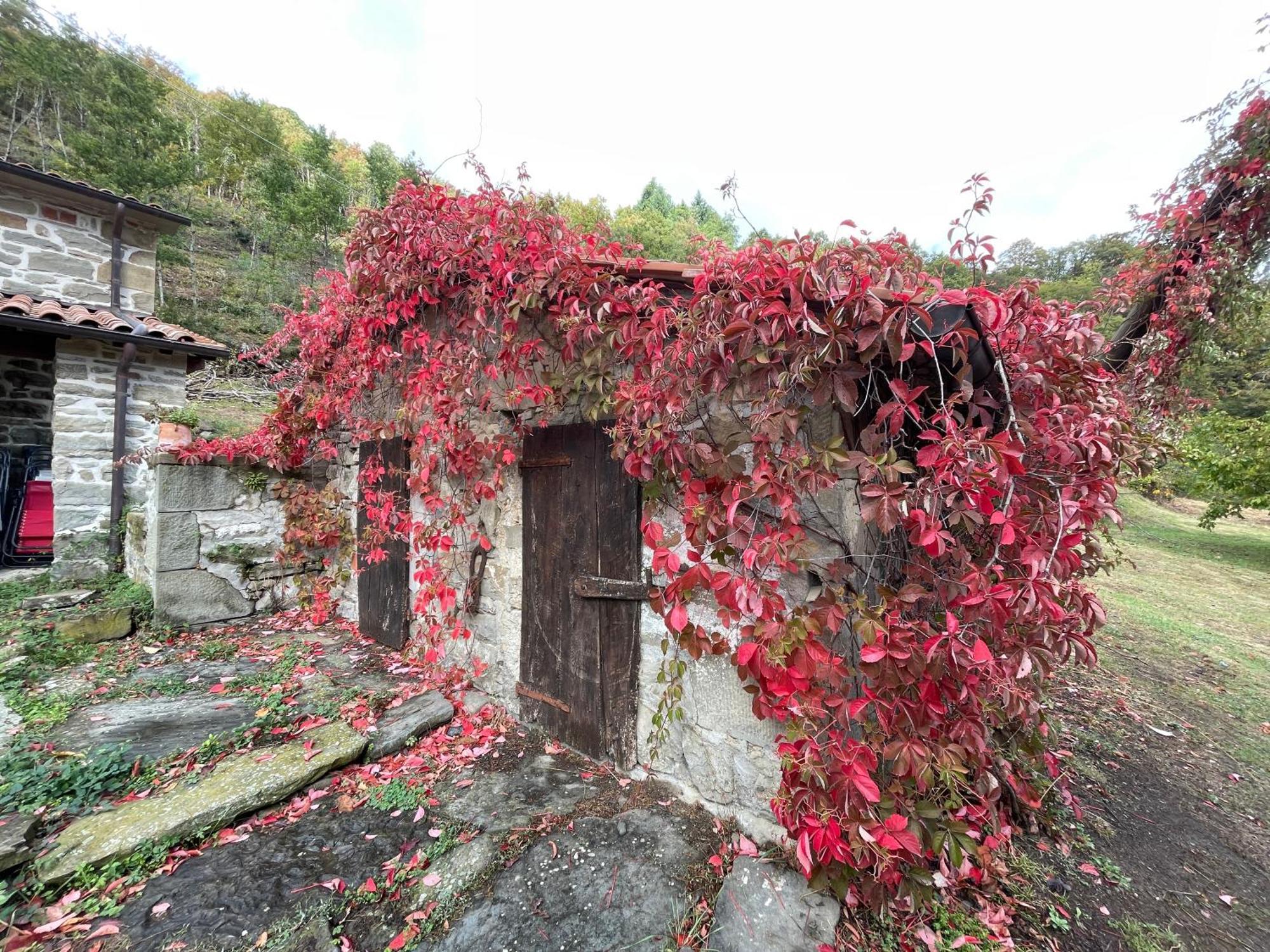 Caprese Michelangelo Bio Agriturismo Il Vigno المظهر الخارجي الصورة